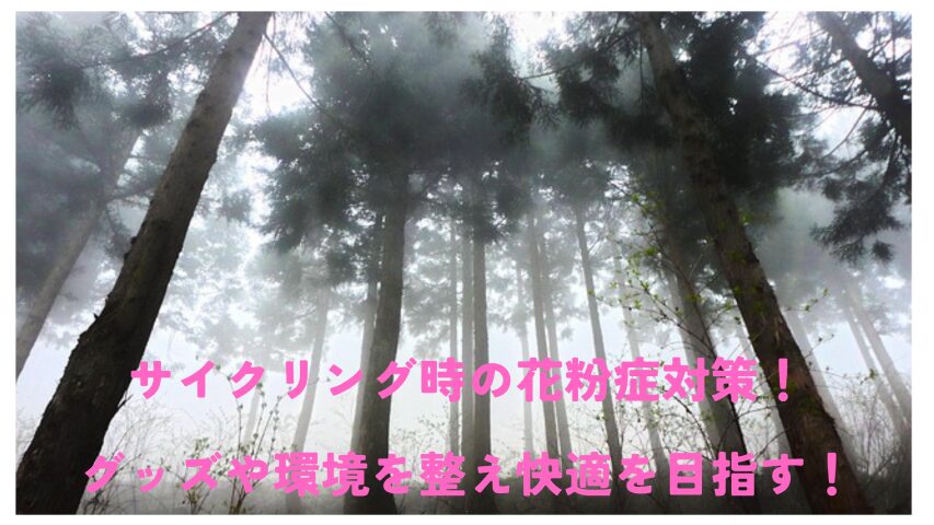 杉花粉　最強画像